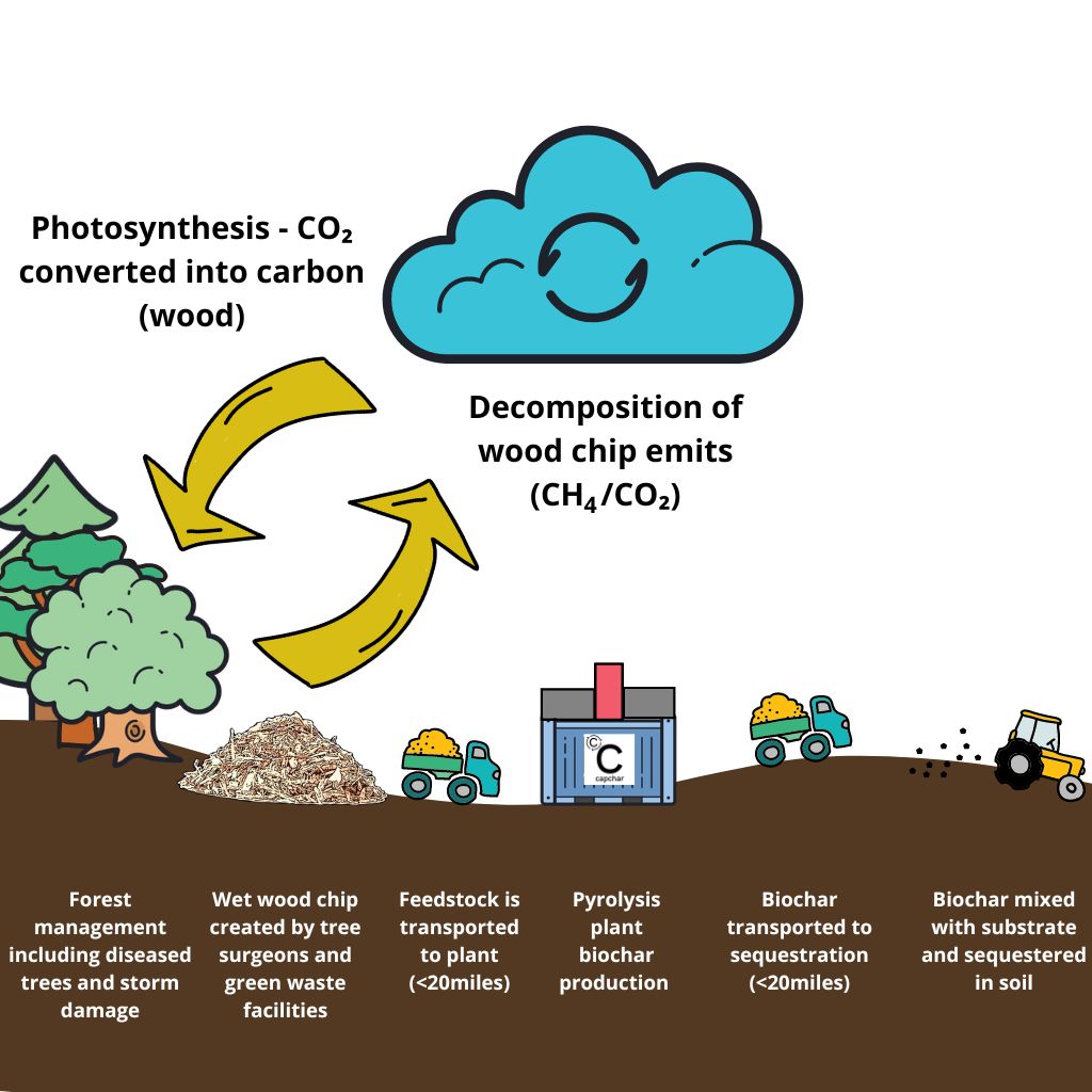 biochar carbon removal process