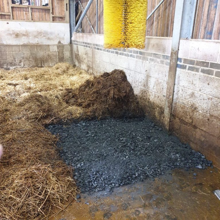 Biochar Event in Wales